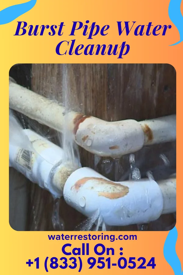 Burst Pipe Water Cleanup in Tellico Village, TN