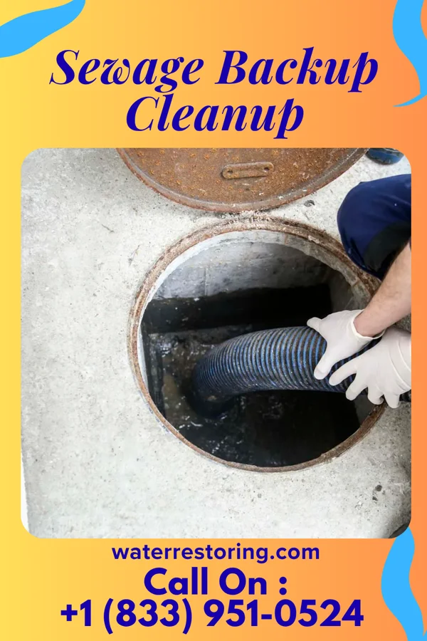 Sewage Backup Cleanup in Tellico Village, TN
