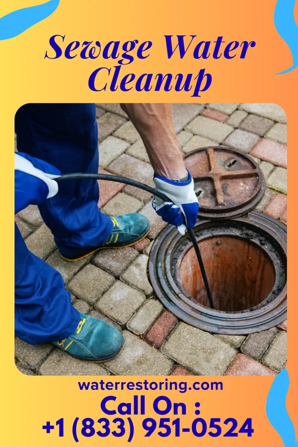 Sewage Water Cleanup in Tellico Village, TN