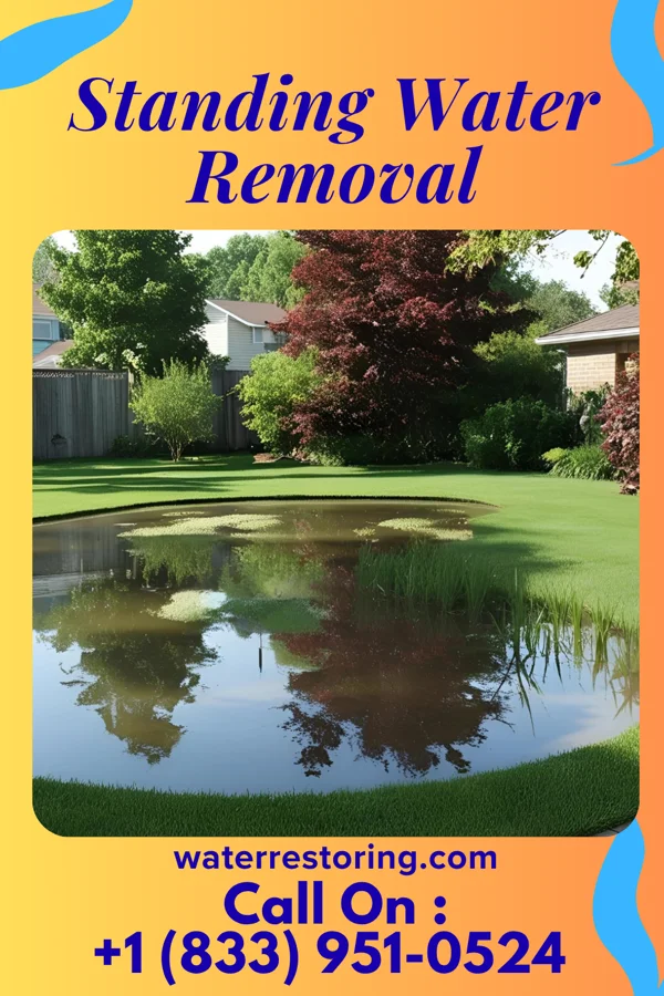 Standing Water Removal in Tellico Village, TN